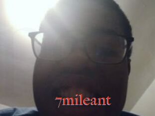 7mileant