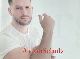 AaronSchulz