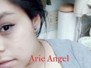 Arie_Angel