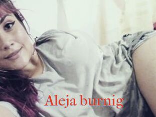 Aleja_burnig