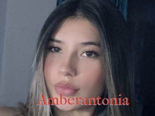 Amberantonia