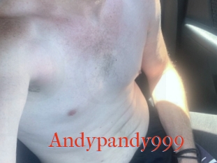 Andypandy999