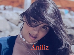 Aniliz