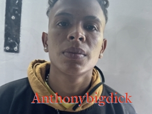 Anthonybigdick