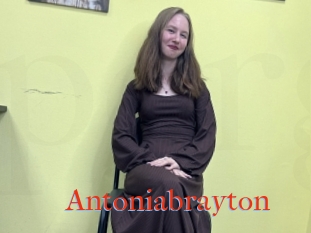 Antoniabrayton