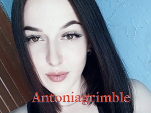 Antoniagrimble