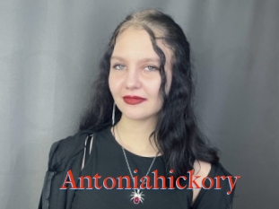 Antoniahickory