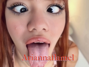 Ariannaflamel