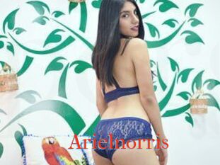 Arielnorris