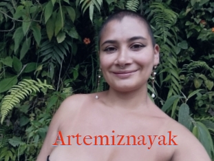 Artemiznayak