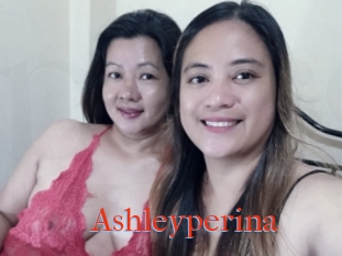 Ashleyperina