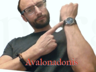 Avalonadonis