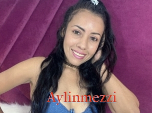 Aylinmezzi