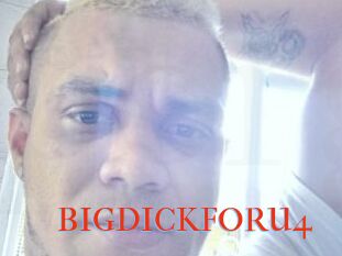 BIGDICKFORU4