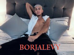 BORJALEVY