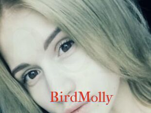 BirdMolly