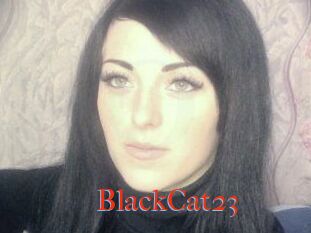 BlackCat23