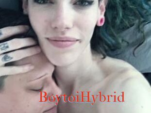 BoytoiHybrid