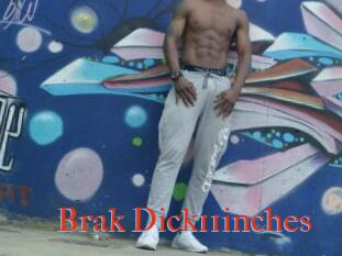 Brak_Dick11inches