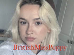 BritishMissPoppy