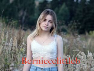 Berniecelittleb
