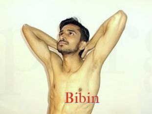 Bibin