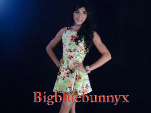 Bigbluebunnyx