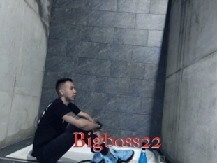 Bigboss22