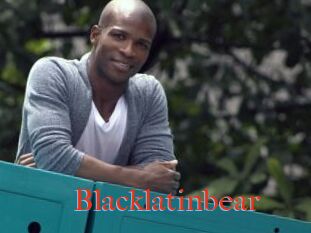 Blacklatinbear