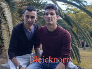 Bleicknort