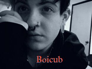 Boicub