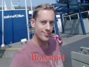 Boycupid