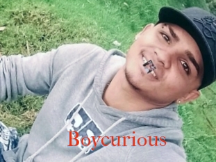 Boycurious