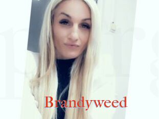 Brandyweed