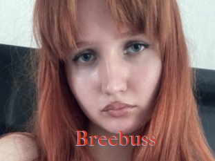 Breebuss