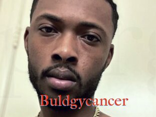 Buldgycancer