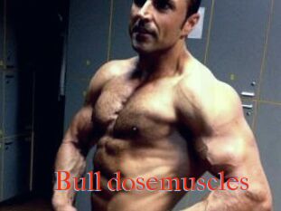 Bull_dosemuscles