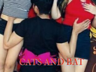 CATS_AND_BAT