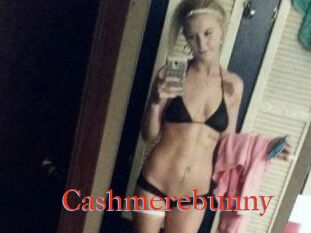 Cashmerebunny