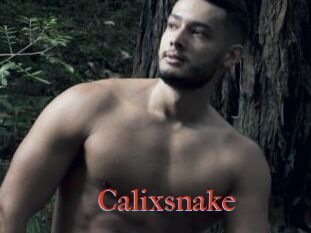 Calixsnake