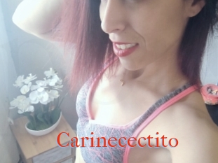 Carinecectito