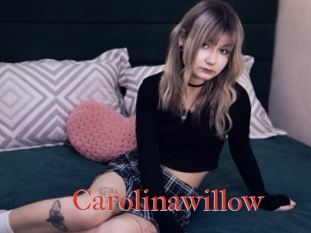 Carolinawillow