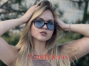 Cindylevis