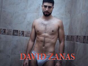 DAVID_ZANAS