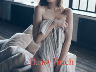 DaisyFinch