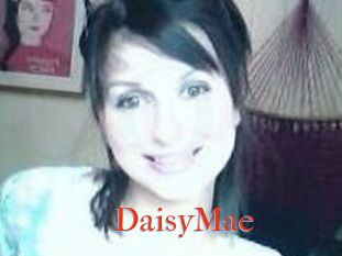 Daisy_Mae