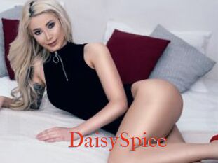 DaisySpice