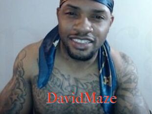 David_Maze