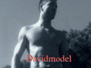 Davidmodel