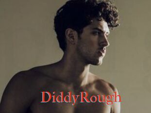 DiddyRough